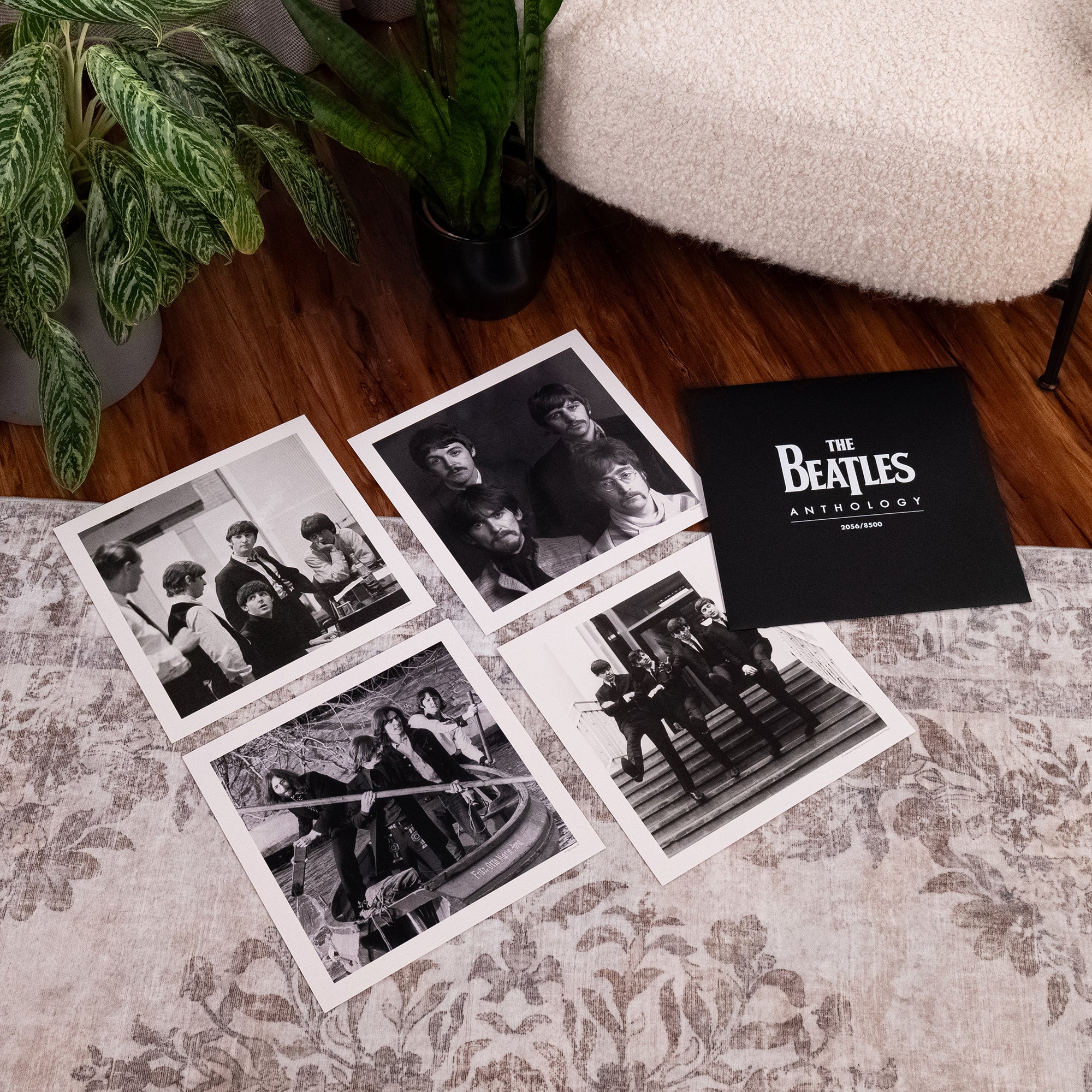 Anthology Collection (2025 Edition) + Limited, Numbered Photo Art Card Set: 12LP Boxset - Image 6